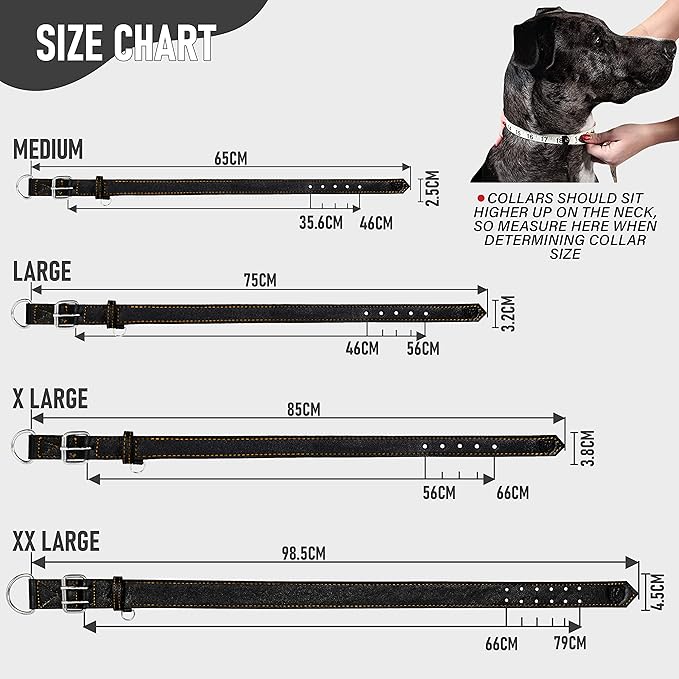 Riparo Dog Collar - Genuine Leather Dog Collars - Heavy Duty Dog Collars for Medium Large and Extra Large Dog Breeds (L: 1.25” Wide for 18” - 22” Neck, Black/Orange Thread)