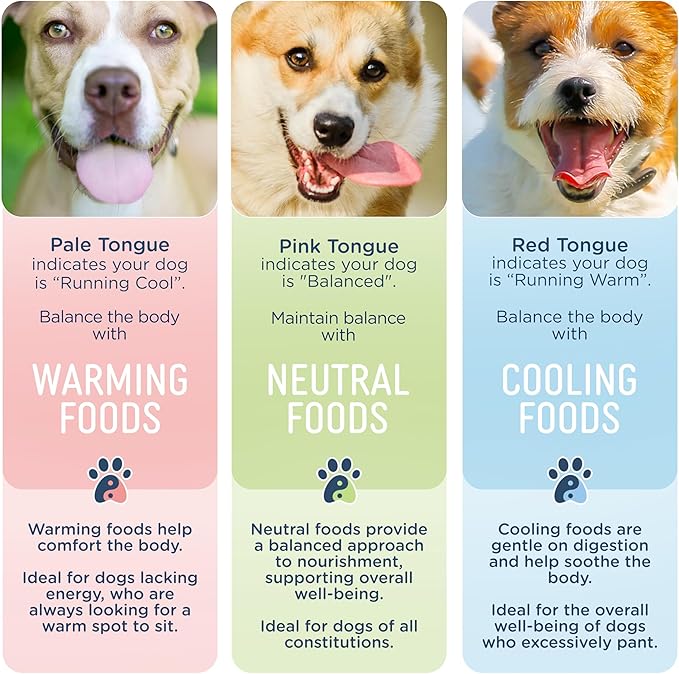 Side by Side Chicken & Lamb Stew - Warming Wet Dog Food & Dog Food Topper for All Breeds - Made with Nutrients & Whole Raw Ingredients - No Artificial Additives or Fillers - USA Made (12.5 oz, 6-Pack)