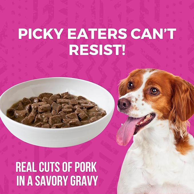 KOHA Minimal Ingredient Pork Stew for Dogs, High Protein Limited Ingredient Dog Food, 12.7oz Cans (Case of 12)