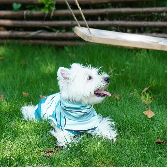 ROZKITCH Dog Sweaters for Small Medium Dogs Male Boy Girl,Soft Stretchy Turtleneck Pullover Shirt with Leash Hole for Medium,Warm Winter Coat for BlueStripe M