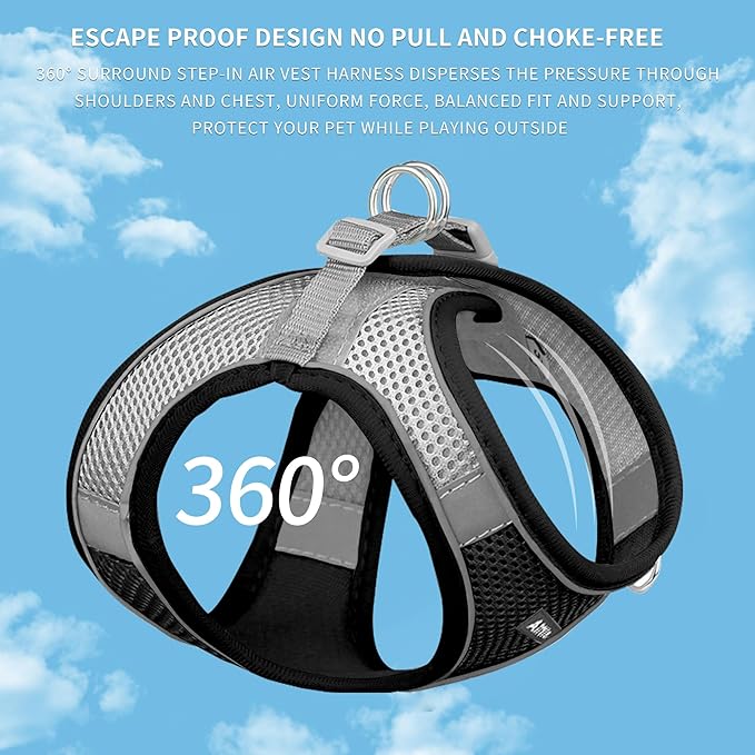 AIITLE Comfortable Dog Harness and Leash Set for Walking - Summer Step in Vest Harness,Reflective Bands, Adjustable No Pull Puppy Essentials, for Small Dogs and House Cats Black XS