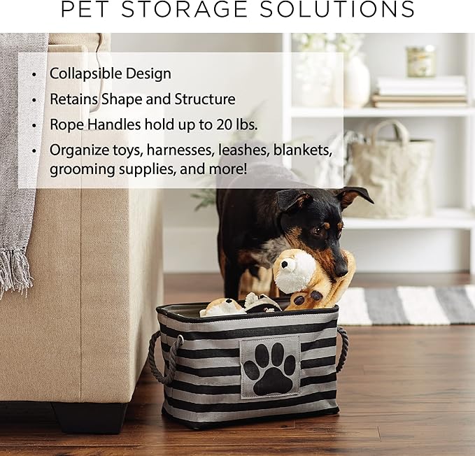 Bone Dry Pet Storage Collection Paw and Bone Print, Medium Rectangle, 16x10x12, Dark Brown