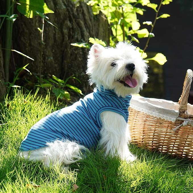 ROZKITCH Fleece Dog Pjs for Medium Dogs Boy, Cozy Stretchy Turtleneck Jumper for Winter Spring Autumn, Machine Washable Pet Clothes for Indoor & Outdoor BlueStripe L