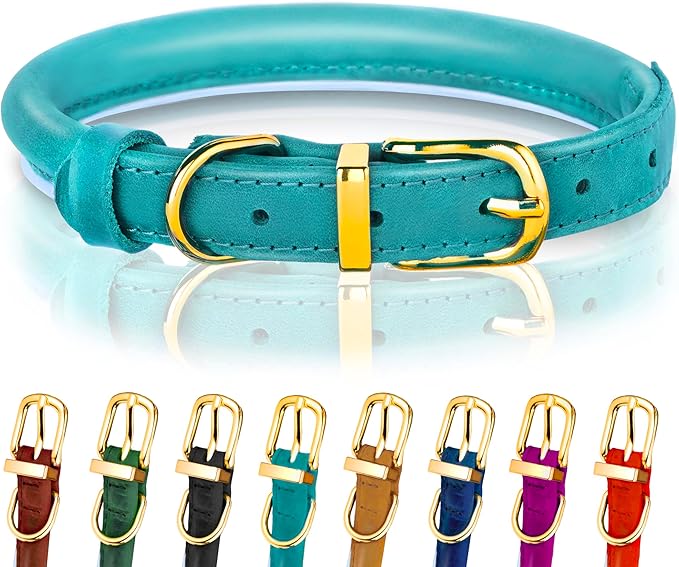 OOPSDOGGY Reflective Rolled Leather Dog Collar Adjustable Soft Padded Pet Collar for Small Medium Large Breed Dogs (Teal, XS, 8"-11")