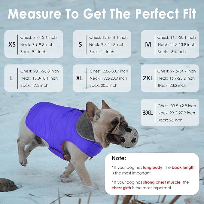 Dog Winter Coat, Waterproof Dog Jacket with Leash Hole, Reflective Adjustable Pet Snow Vest, Warm Fleece Sweater for Small Medium Large Dogs - Blue, M