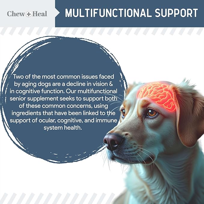 Senior Dog Vision and Cognition Chews - 60 Soft Chews for Dog Eye Care and Memory - 7-in-1 Multivitamin with Omega Fatty Acids, Vitamins, and Botanicals - Made in The USA