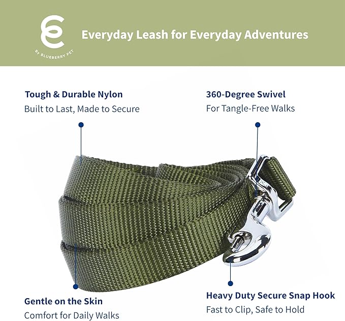 Blueberry Pet Essentials Military Green Dog Leash for Large - 4' * 1" Dogs | Heavy Duty Nylon Lead | Lightweight Puppy & Cat Leash for Walking & Training