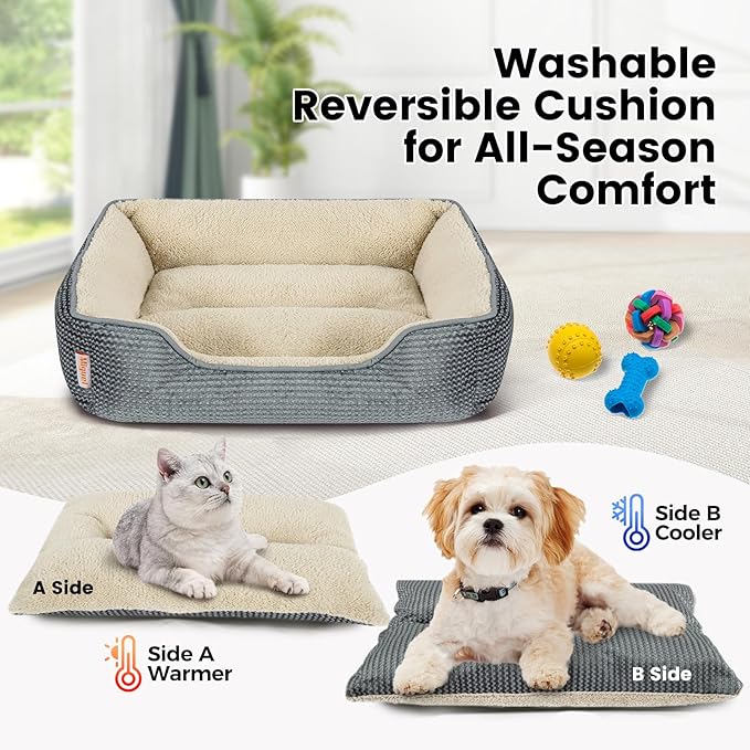 Miguel Washable Cat Beds for Indoor Cats with Removable Cushion/Pillow, Easy to Wash Small Dog Bed with Side, Large Rectangle Kitten Bed Cuddle Puppy Bed with Anti-Slip Bottom, Gray 20 Inch