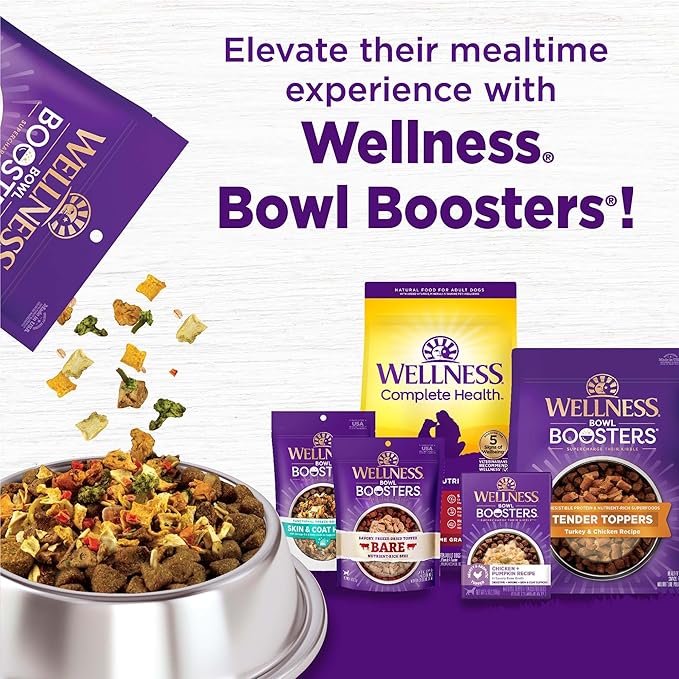 Wellness Complete Health Dry Dog Food, Grain Free, Natural, Lamb Recipe, (22-Pound Bag)