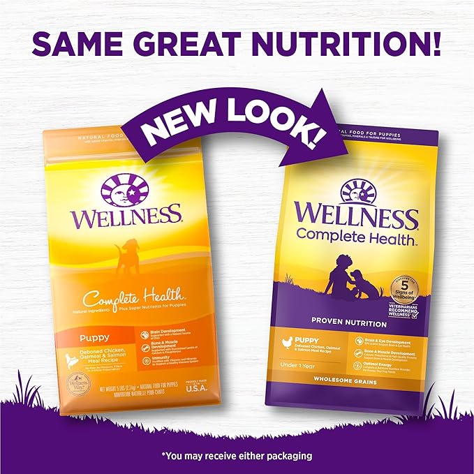 Wellness Complete Health Puppy Dry Dog Food, Wholesome Grains, Natural, Chicken, Oatmeal, & Salmon Recipe, (26-Pound Bag)