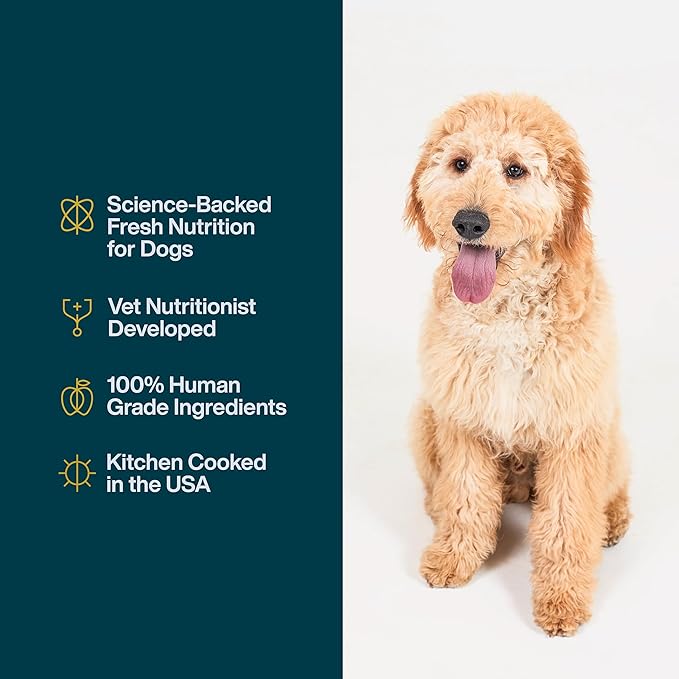 JustFoodForDogs JustFresh Wet Dog Food, Fresh Pet Meals and Toppers with No Preservatives, Resealable Package, Human Grade, Home-Cooked Pork, 12 oz - 7 Pack