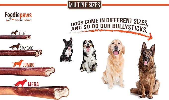 FOODIEPAWS All Natural 6 Inch Mega Bully Sticks, Odor Free | Grass-Fed Beef | Single Ingredient & Rawhide-Free | Long Lasting Dental Dog Chews | Packed in USA | for Medium & Large Dogs, 15 Pack