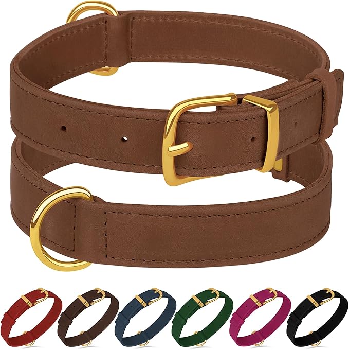 Leather Dog Collar - Heavy Duty Adjustable Soft Padded Pet Collars for Small Medium Large Dogs Breed - Black Green Brown Pink Red Blue (Cognac, M, 12"-15" Neck Fit)