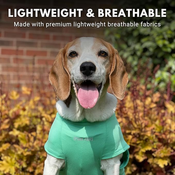 Spark Paws Sunblock Dog T-Shirt, SPF30 Protection, Lightweight Breathable Quick Dry for Dogs with Sensitive Skin - Blue & Mint (Set of 2) - 4XL