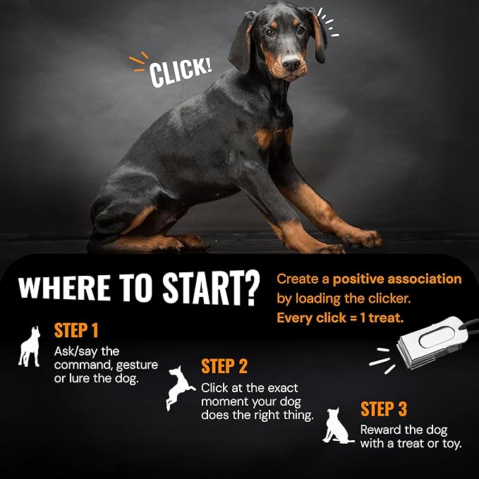 Black Dog Clicker with Necklace (3 Pack) - Clickers for Pet Training - Dog Training & Behavior Aids Easy to Carry with You Anywhere - Teach Your Dog Tricks or Reward His Behavior