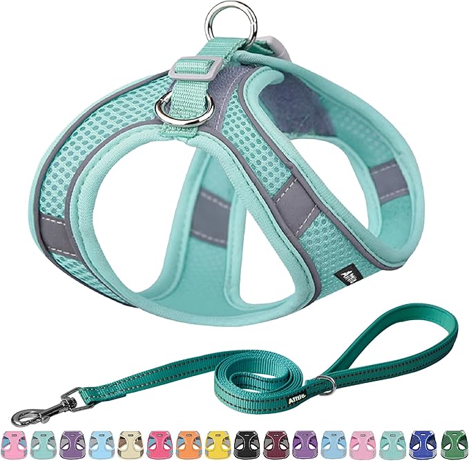 AIITLE Dog Harness, Summer No-Pull Cat Harness with a Leash, Adjustable Reflective Dog Vest, Cat Harness Escape Proof, Outdoor Walking, Camping for Extra Small Dogs and House Cats Pure Turquoise XXXS