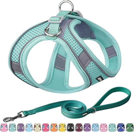 AIITLE Easy Walk Dog Harness and Leash Set - Pet Supply No Pull, Step in Adjustable Pet Harnesses with Padded Vest for Summer, No Choke Over, Easy to Put on Medium Dogs Pure Turquoise L