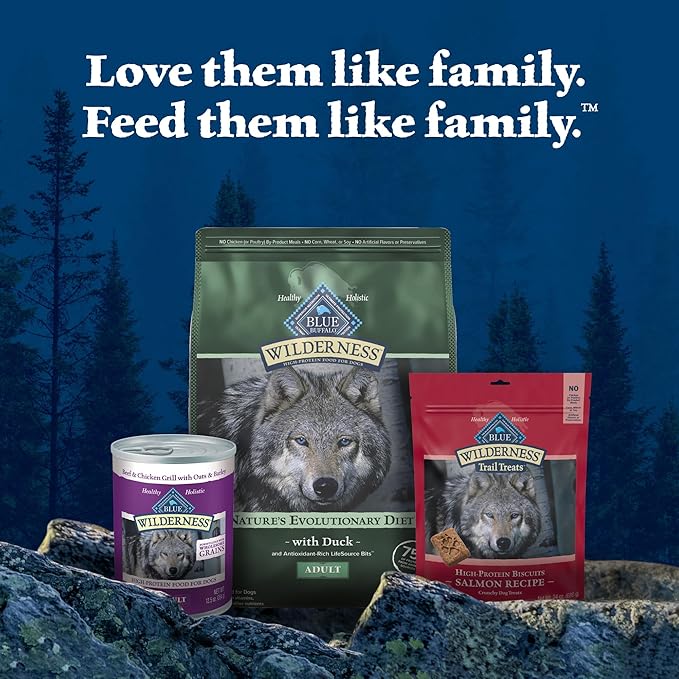 Blue Buffalo Wilderness Natural High-Protein Dry Food for Adult Dogs, WITH WHOLESOME GRAINS, Duck, 4.5-lb Bag