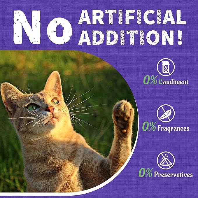 Just Try 16 OZ Blueberry Cat Treats for Indoor Cats, Gluten Free, Low-Calorie Healthy Cat Snacks, Plant-Based Fiber-Rich Natural Chicken Flavor Training Treats