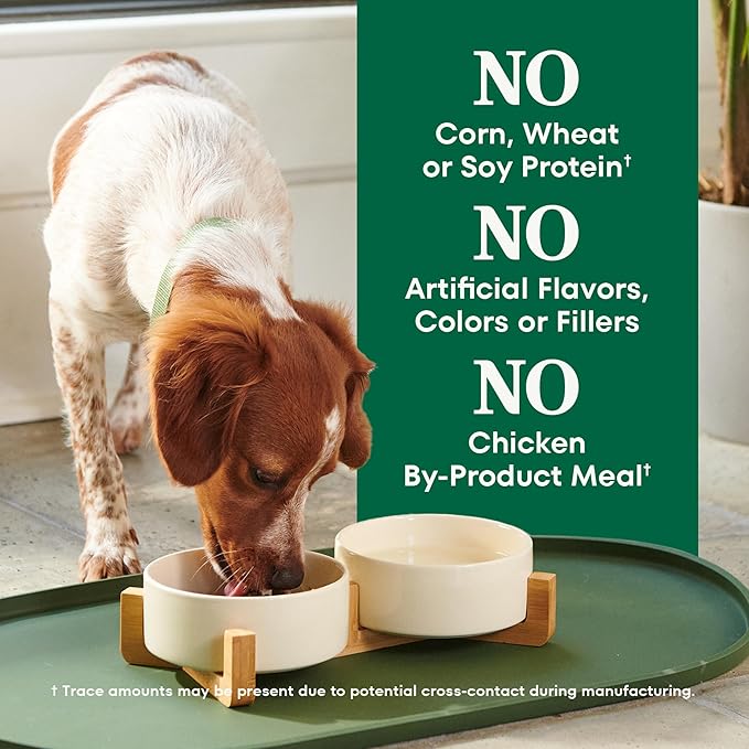 Nutro Natural Choice Salmon & Brown Rice Adult Small Bites Dog Food Recipe, 28 lb. Bag