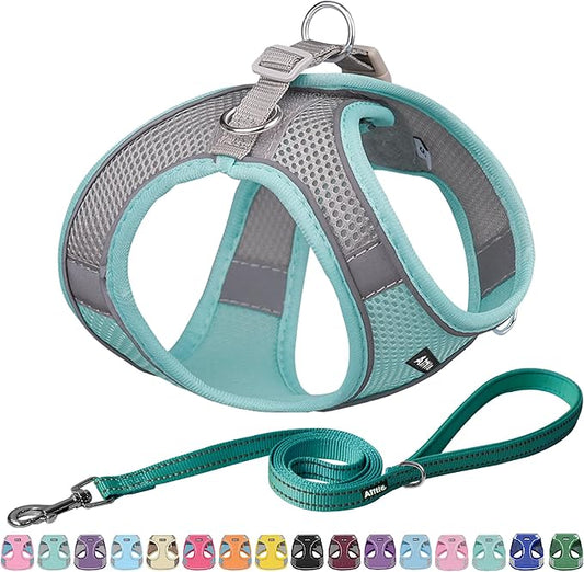 AIITLE Dog Harness, Summer No-Pull Cat Harness with a Leash, Adjustable Reflective Dog Vest, Cat Harness Escape Proof, Outdoor Walking, Camping for Extra Small Dogs and House Cats Turquoise XXXS