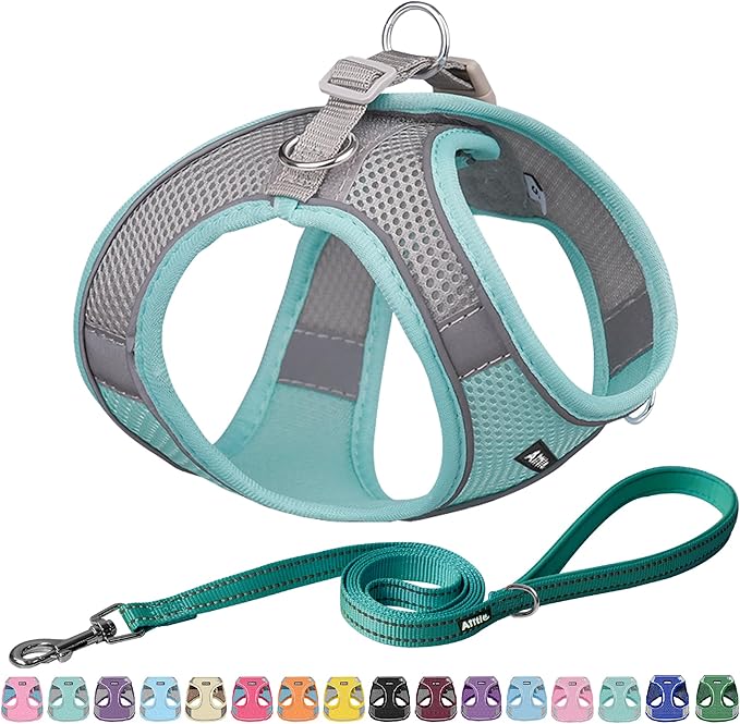AIITLE Small Harness for Puppy with A Leash - Summer Dog Vest Harness with Super Breathable Mesh, Reflective No-Pull Pet Harness for Outdoor Walking, Camping for Small Dogs, Cats Turquoise XXS