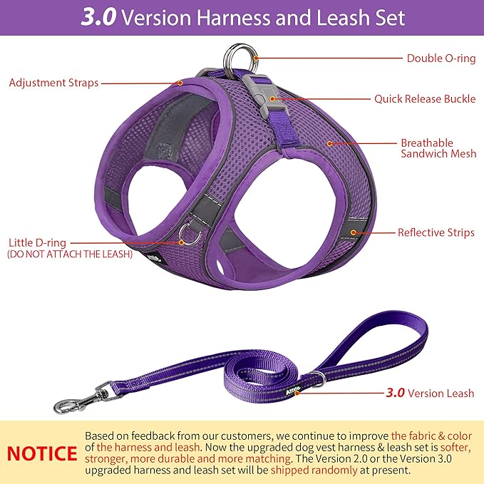 AIITLE Step in Dog Harness and Leash Set - Summer No Pull Escape Proof Vest Harnesses with Soft Mesh and Reflective Bands, Adjustable Pet Outdoor Harnesses for Small and Medium Dogs Pure Purple M
