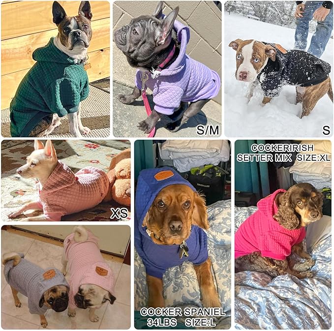 BEAUTYZOO Small Dog Hoodie Sweater with Pockets, Dog Clothes for Small Medium Dogs Boy Girl, Waffle-Like Laminated Cotton Pet Coats with Hat and Leash Hole, Grey XL
