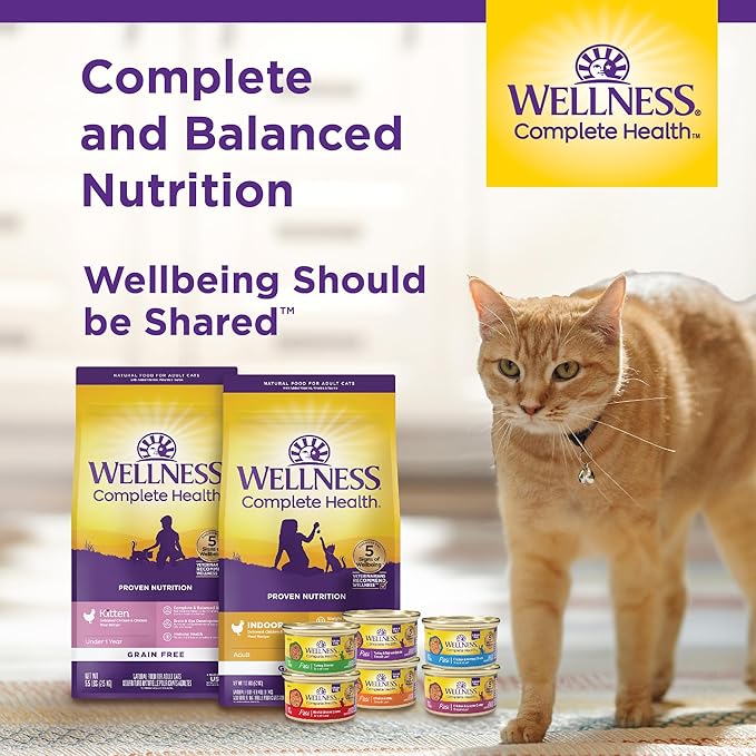 Wellness Complete Health Adult Dry Cat Food for Indoor Cats, Grain Free, Natural, Salmon and Herring Meal (11.5 Pound Bag)