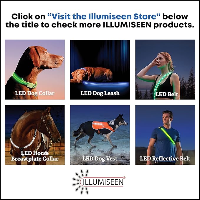 Illumiseen LED Dog Collar USB Rechargeable - Bright & High Visibility Lighted Glow Collar for Pet Night Walking - Weatherproof, in 6 Colors & 6 Sizes (Red X-Small)