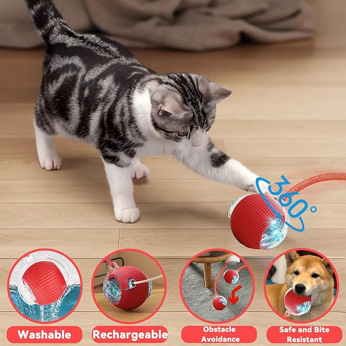 Interactive Cat Toys for Indoor Cats, Automatic Cat Toy with Elastic Mesh Tail, Electric Rolling Ball on Carpet, Chirping and Motion Activate Cat (Yellow)