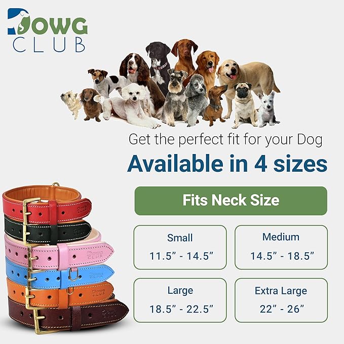 Leather Dog Collar for Medium Dogs, Light Pink, 1 Inch Wide, Genuine Leather, Heavy Duty with Soft Inner Padding, Comfortable and Durable (Blush Pink, M (Fit Neck Size 14.5"-18.5"))