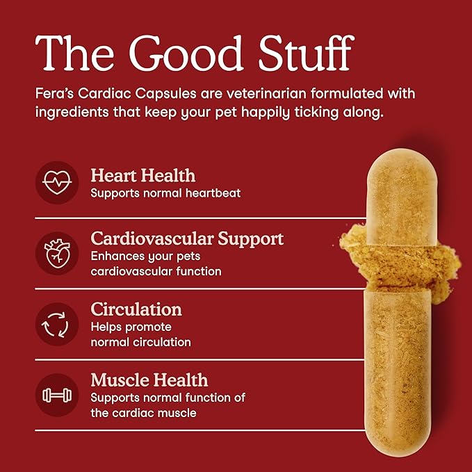 Fera Pets Cardiac Support - Cat & Dog Heart Supplement with Taurine, L-Carnitine, & CoQ10 - Promotes Normal Circulation and Heartbeat - 60 Capsules