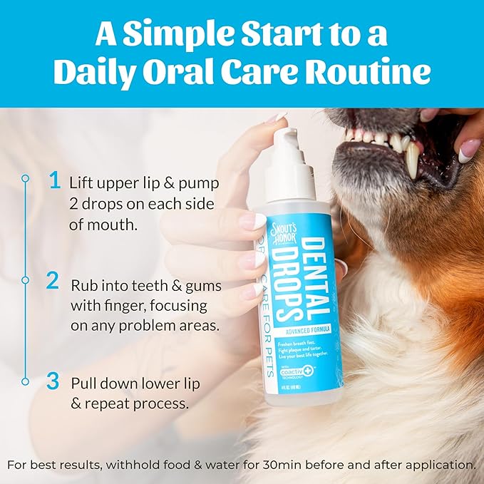 SKOUT'S HONOR Advanced Dental Drops - Fights Plaque and Tartar, Freshens Breath Fast, No Brushing Required, 4oz, 2-Pack