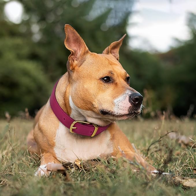 Leather Dog Collar - Heavy Duty Adjustable Soft Padded Pet Collars for Small Medium Large Dogs Breed - Black Green Brown Pink Red Blue (Pink, L, 15"-19" Neck Fit)