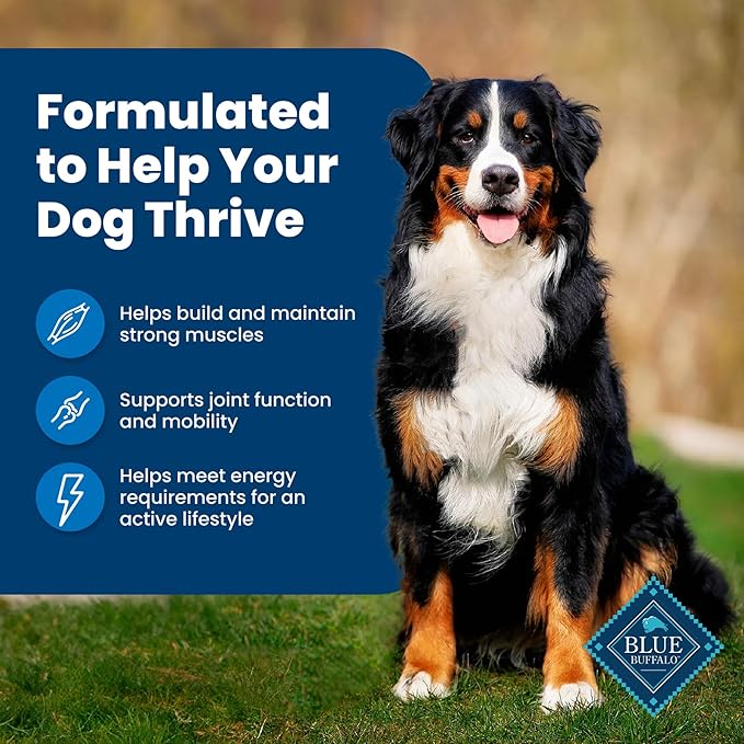 Blue Buffalo Life Protection Formula Natural Adult Dry Dog Food, Chicken and Brown Rice 5-lb Trial Size Bag