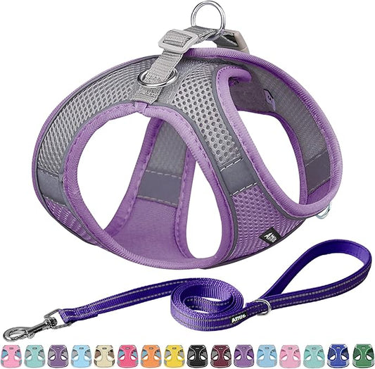 AIITLE Dog Harness, Summer No-Pull Cat Harness with a Leash, Adjustable Reflective Dog Vest, Cat Harness Escape Proof, Outdoor Walking, Camping for Extra Small Dogs and House Cats Purple XXXS