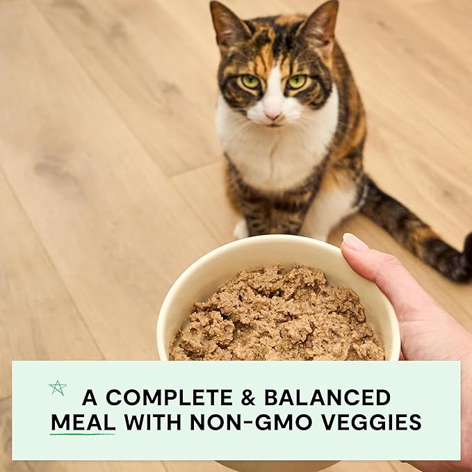 Open Farm Canned Cat Food, Pate for Complete & Balanced Nutrition, Grain Free and Legume-Free Wet Cat Food, Chicken & Salmon Recipe, 5.3oz Cans (Case of 12)