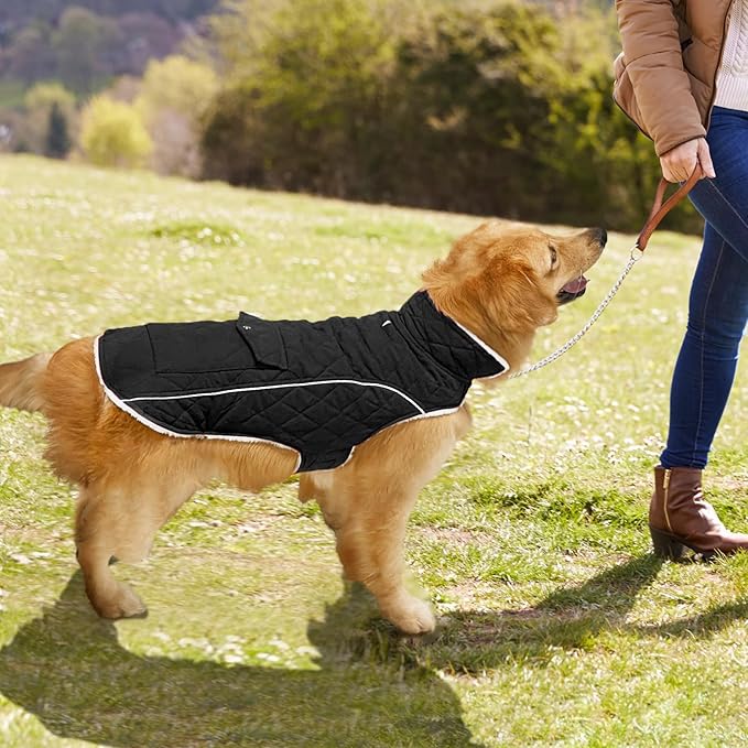 Malier Dog Winter Coat, Windproof Dog Cold Weather Coats with Real Pocket, Winter Extra Warm Pet Coat Fleece Jacket Reflective Clothes for Small Medium Large Dogs and Puppy (Black, X-Large)
