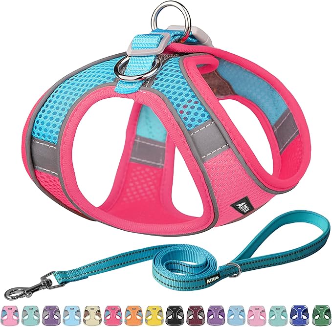 AIITLE Dog Harness, Summer No-Pull Cat Harness with a Leash, Adjustable Reflective Dog Vest, Cat Harness Escape Proof, Outdoor Walking, Camping for Extra Small Dogs and House Cats Hot Pink XXXS