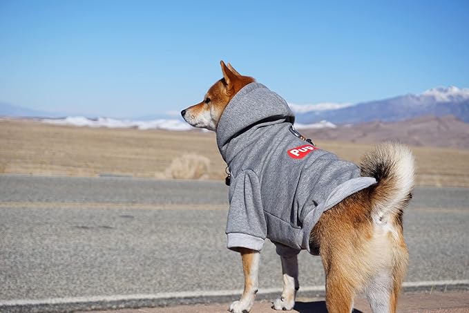 ChoChoCho Pup Dog Hoodie, Sweater, Fashion Clothes, Pet Clothing Cotton Cat Hoodies Stylish Streetwear Sweatshirt Gray Tracksuits Outfit for Puppy Small Medium Large (2XL)