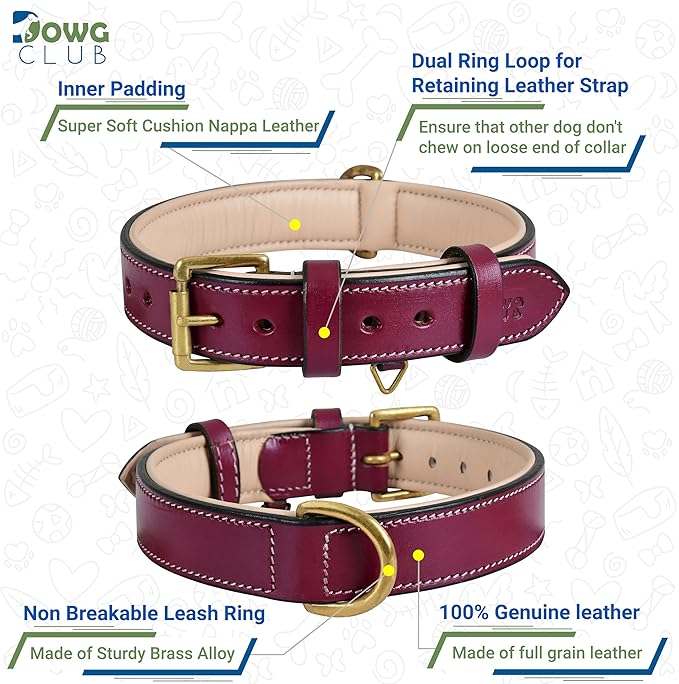 Genuine Leather Dog Collar | Full Grain, Heavy Duty, Comfortable, Padded, Strong | Best for Pups, Small, Medium, Large & XL Breeds (Small (Fit Neck Size 11.5"-14.5"), Dark Pink)