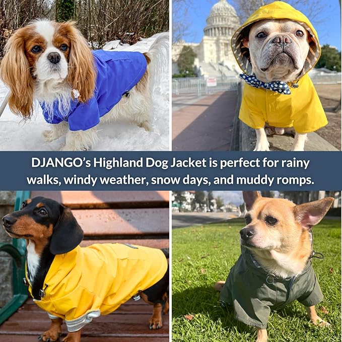 DJANGO Highland Dog Jacket & Raincoat – Water-Repellent, Lined Dog Coat with Hood, Adjustable Fit & Harness Hole – Lightweight Rain & Wind Jacket for Small & Medium Dogs up to 30 lbs (Blue, Large)