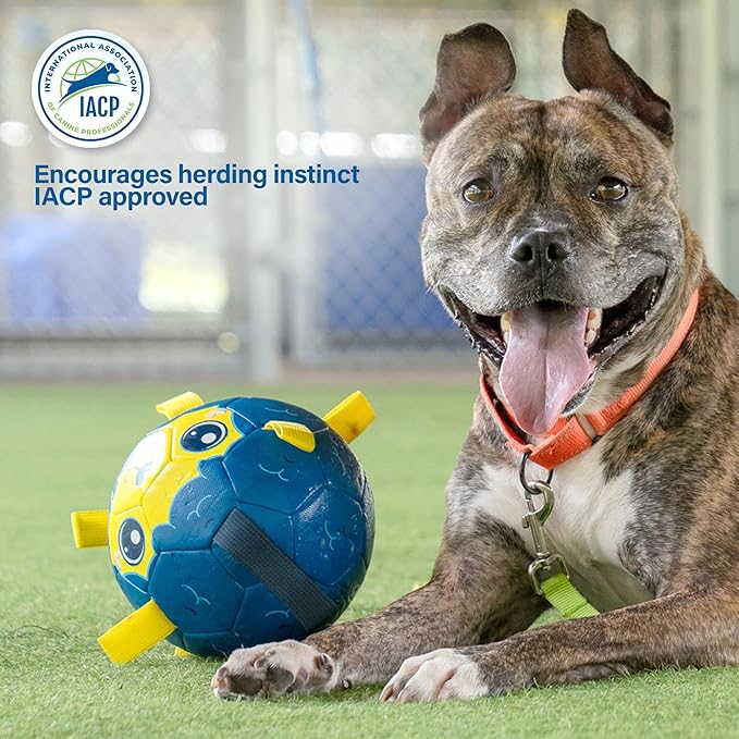 Race&Herd 7" Jolly Soccer Ball for Dogs - Tough Durable Dog Ball Toy with Straps, Pet Bouncy Herding Balls for Dogs, Floating Dog Balls with Tags for Water Fetch (BaaBaaBall, Soccer Sheep)