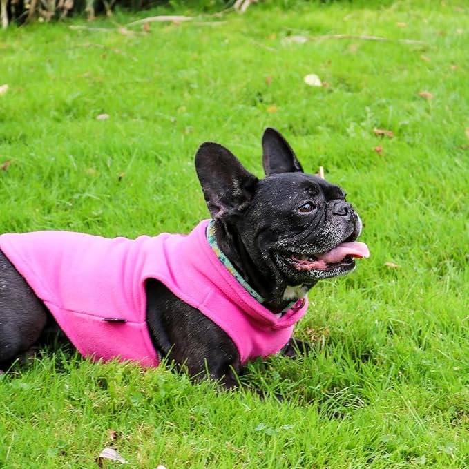 JACKO & CO - Fleece Vest Dog Sweater with Leash Ring - Soft, Warm & Lightweight Pullover Coat for Small & Medium Dogs, Puppies & Cats - Cozy Fall/Winter/Spring Pet Jacket (Pink, Small 4-6lbs)
