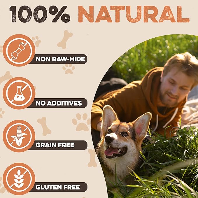 Premium Beef Cheek Rolls for Dogs 5-7" - (5-Pack) Long Lasting, Safe & Natural Rawhide Alternative Chews, Ideal for Large Dogs & Aggressive Chewers, Supports Dental Health & Digestion