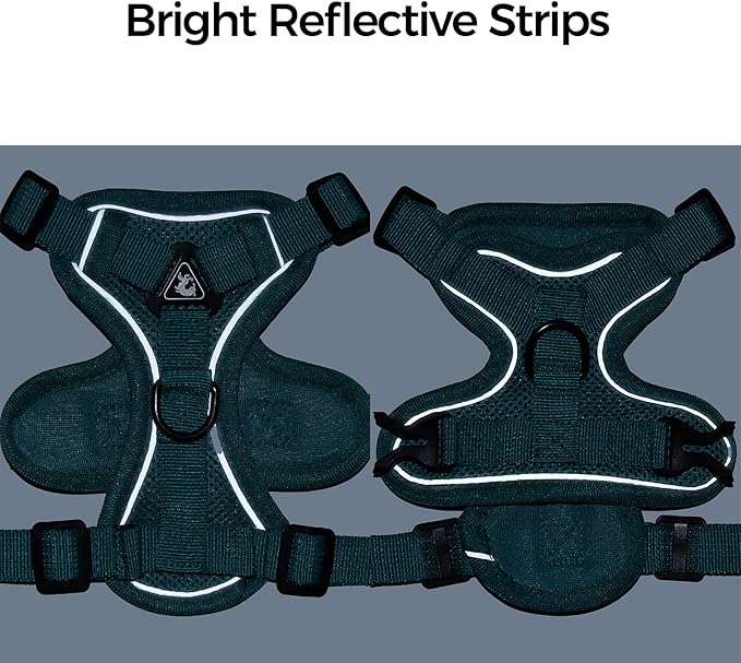 Cat Harness and Leash Set Escape Proof Tactical Medium Kitten Harness Emotional Support Cat Vest, Turquoise, M