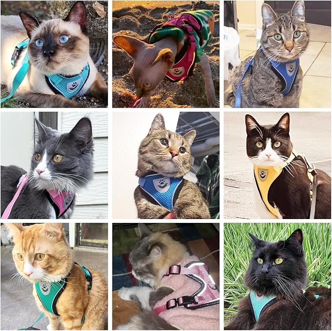 PUPTECK Cat Harness and Leash Set Escape Proof Reflective Cat Walking Harness Adjustable Soft Breathable Mesh Vest for Small Pets, Grey, M