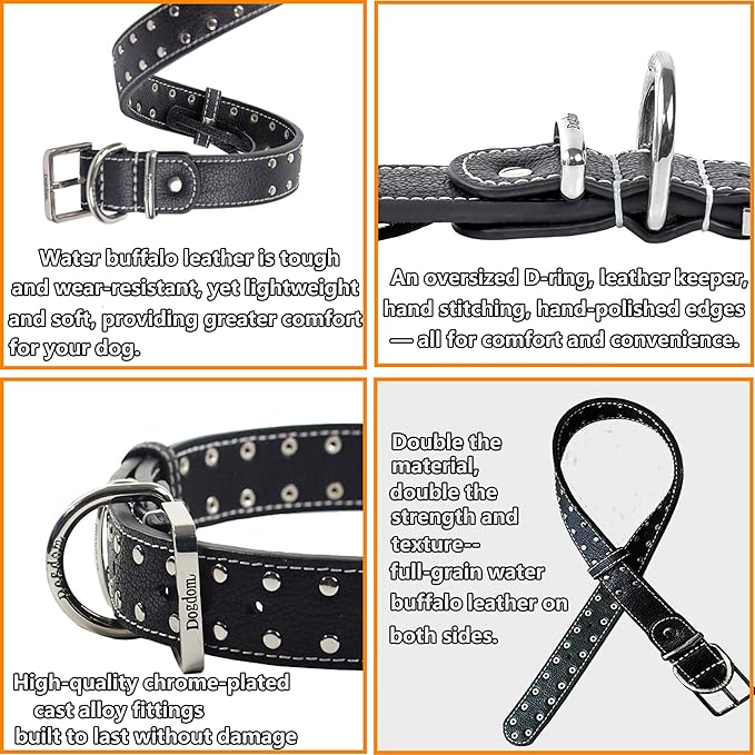 Studded Leather Dog Collar – Durable Adjustable Collar, Black Medium
