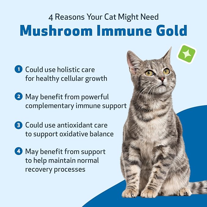 Pet Wellbeing Mushroom Immune Gold for Cats - Vet-Formulated - Immune Support with Reishi, Maitake, Turkey Tail, and Milk Thistle - Complementary Functional Mushroom Supplement 8 oz (237 ml)